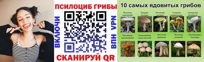 где можно купить Покровск Псилоцибиновые грибы прущие грибы
